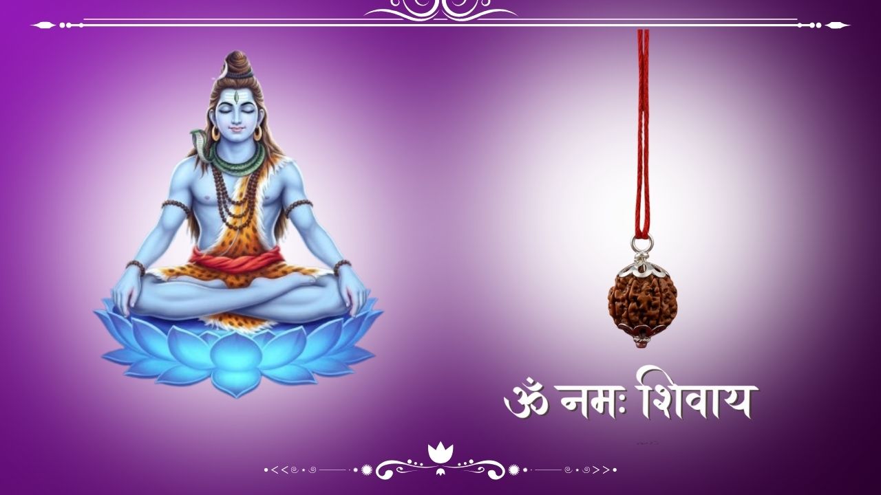 7 Mukhi Rudraksh with Silver Cap